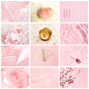 Franciscan Earthenware Desert Salt Shaker Rose Dinnerware - Vintage